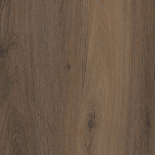 Paddington Warm Brown