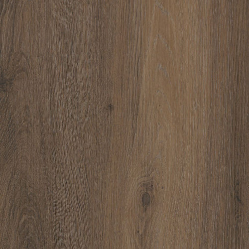 Paddington Warm Brown